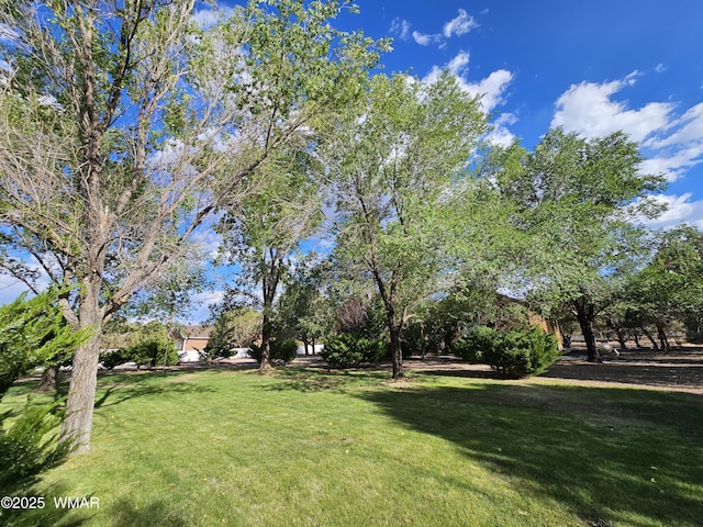 6757 Cheney Ranch Loop, Show Low, AZ 85901 - photo 60