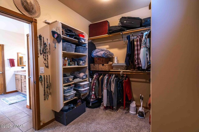 6757 Cheney Ranch Loop, Show Low, AZ 85901 - walk in closet featuring carpet floors and tile patterned floors