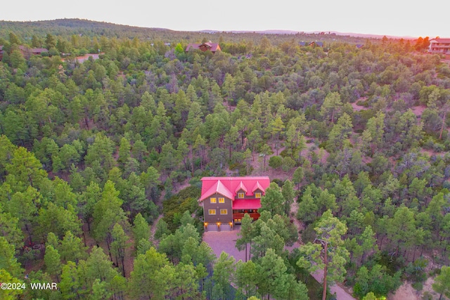 2020 S Pleasantview Dr, Show Low, AZ 85901 - aerial view of a forest