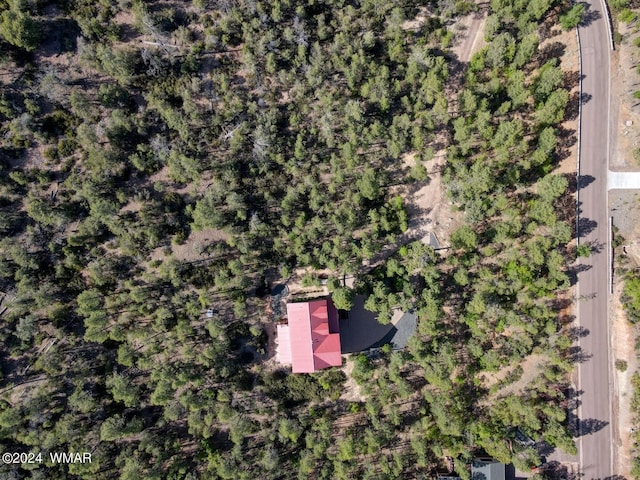 2020 S Pleasantview Dr, Show Low, AZ 85901 - aerial view of property and surrounding area