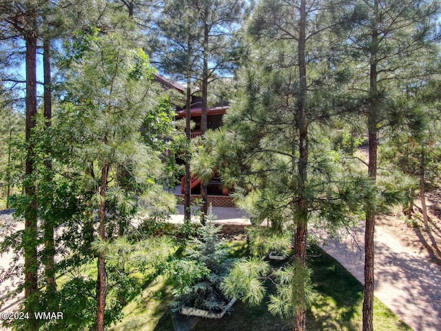 2020 S Pleasantview Dr, Show Low, AZ 85901 - view of yard