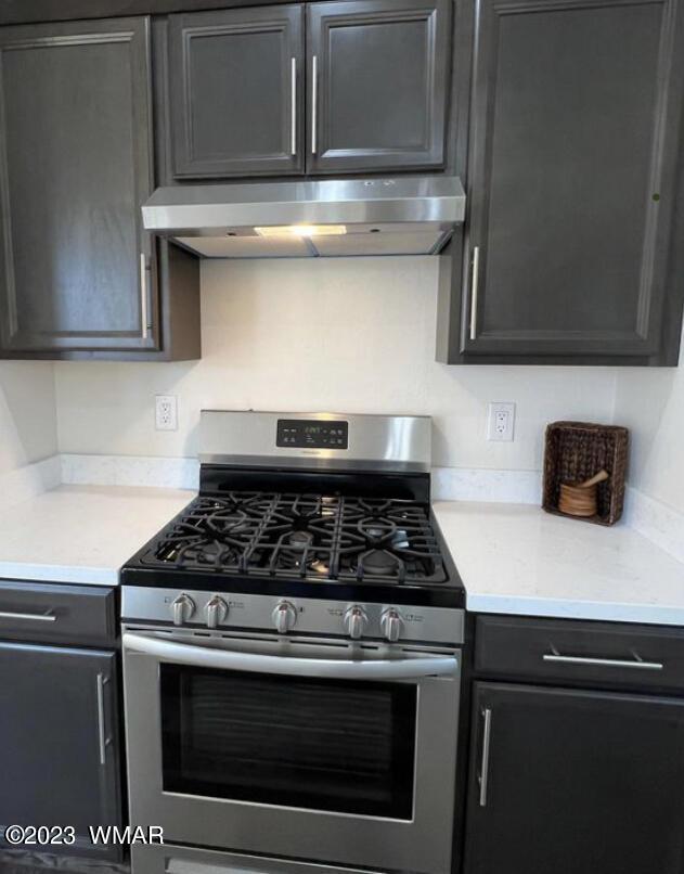 kitchen with stainless steel range with gas cooktop and under cabinet range hood