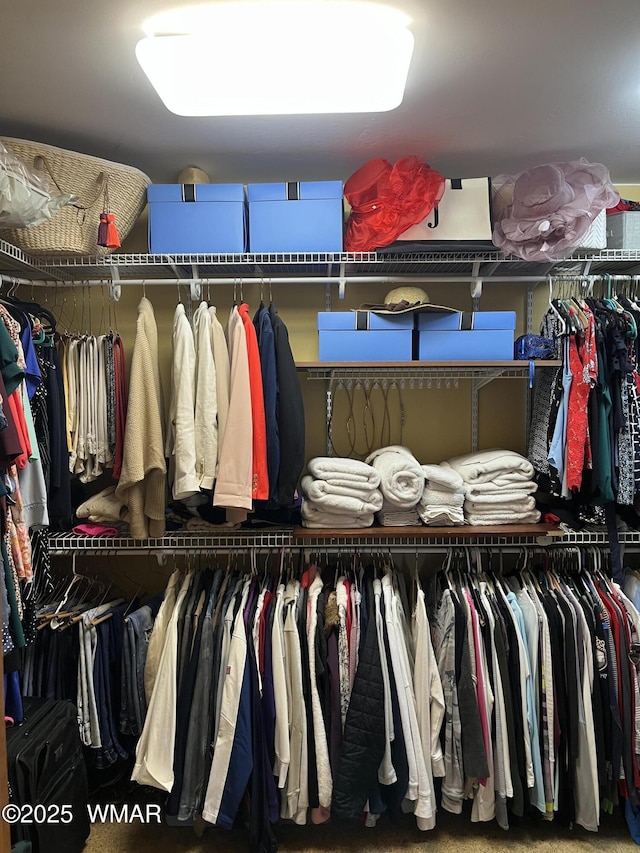 1420 W Haystack Rd, Taylor, AZ 85939 - view of walk in closet