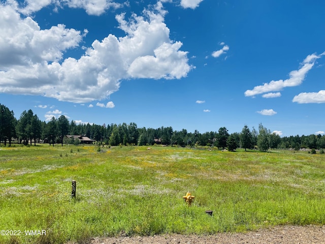 9582 Sierra Springs Dr, Pinetop, AZ 85935 - photo 6