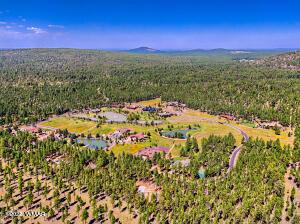 9582 Sierra Springs Dr, Pinetop, AZ 85935 - photo 21