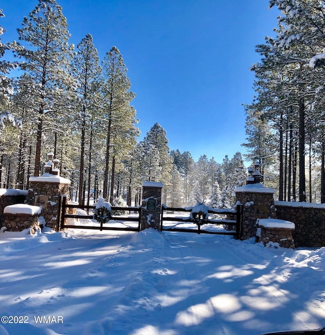 9582 Sierra Springs Dr, Pinetop, AZ 85935 - photo 18