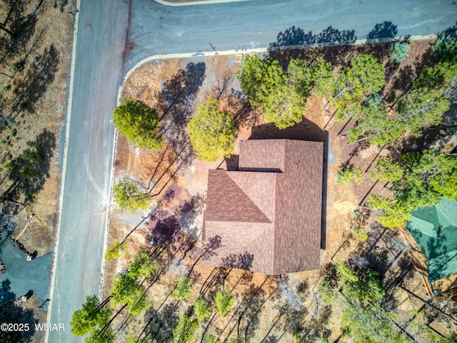 2527 Cedar Pine Ln, Pinetop, AZ 85935 - photo 5