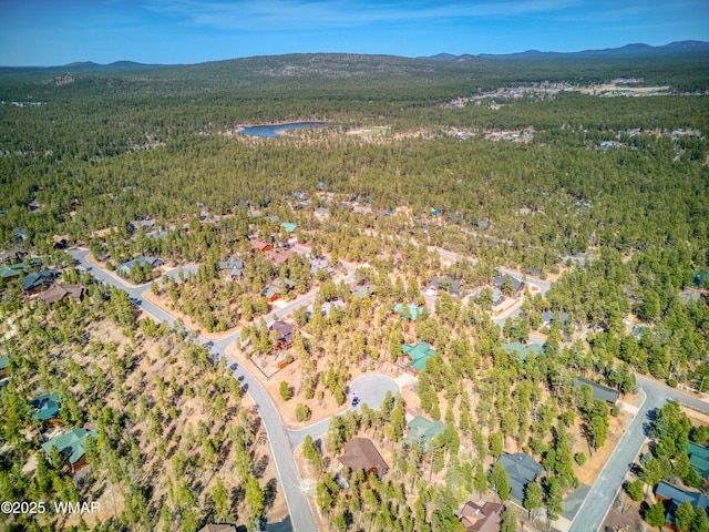 2527 Cedar Pine Ln, Pinetop, AZ 85935 - photo 6