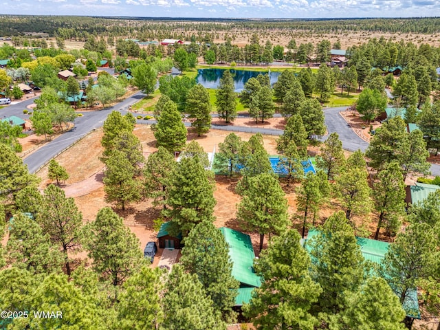 2706 Palomino Trl, Overgaard, AZ 85933 - photo 26