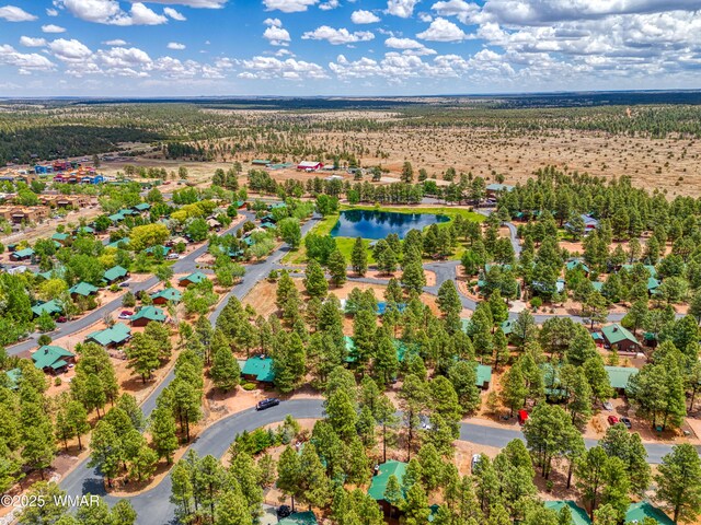 2706 Palomino Trl, Overgaard, AZ 85933 - photo 23