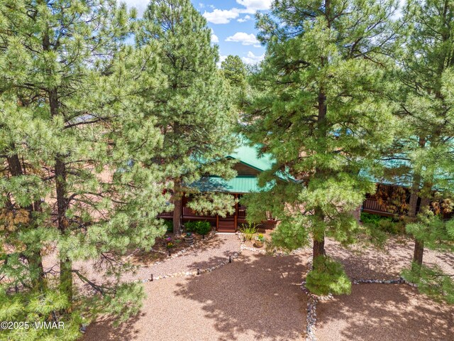 2706 Palomino Trl, Overgaard, AZ 85933 - photo 24