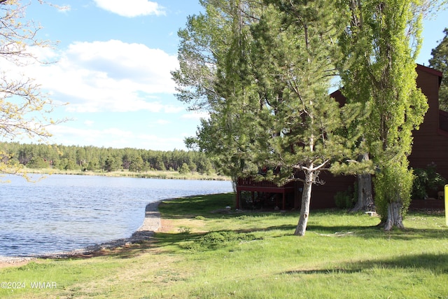 view of water feature featuring a view of trees