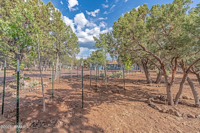 703 Backwoods Trl, Lakeside, AZ 85929 - photo 4