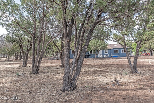 703 Backwoods Trl, Lakeside, AZ 85929 - photo 28
