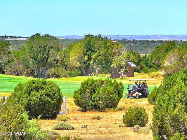 1950 Creekside Cir, Show Low AZ, 85901 land for sale