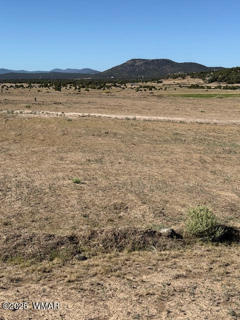 54 County Road 8001, Concho, AZ 85924 - photo 7