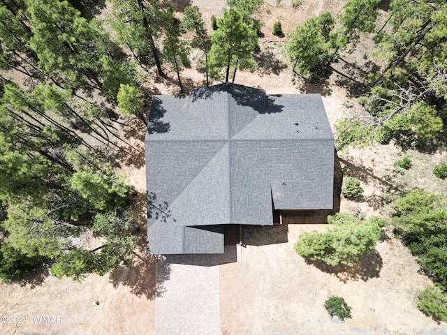 2382 S Willow Way, Pinetop, AZ 85935 - photo 23
