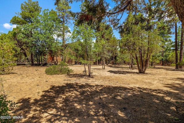 5621 E Starlight Ridge Rd, Lakeside, AZ 85929 - view of yard