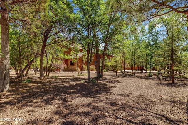 5621 E Starlight Ridge Rd, Lakeside, AZ 85929 - view of yard