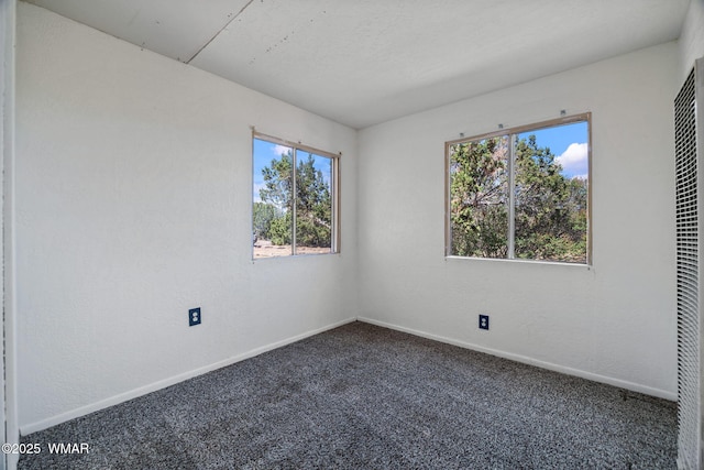 1720 E Becker Lane Loop, Springerville, AZ 85938 - spare room with healthy amount of natural light, carpet, and a heating unit