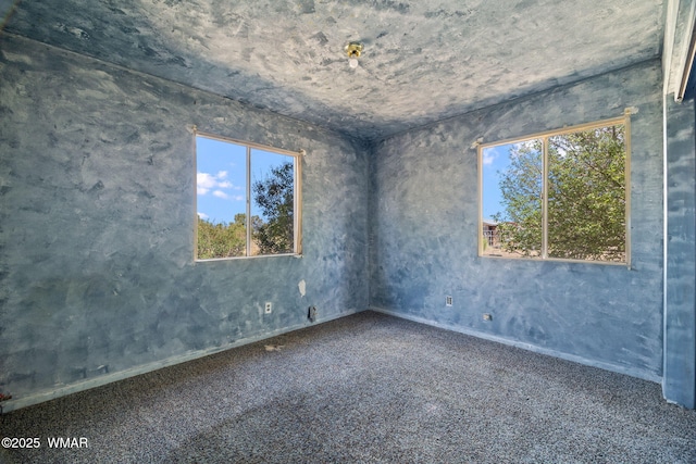 1720 E Becker Lane Loop, Springerville, AZ 85938 - carpeted empty room featuring healthy amount of natural light