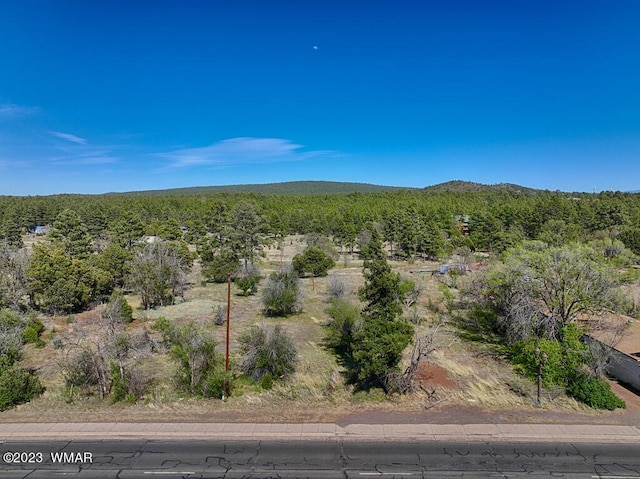 1688 W White Mountain Blvd, Lakeside AZ, 85929 land for sale