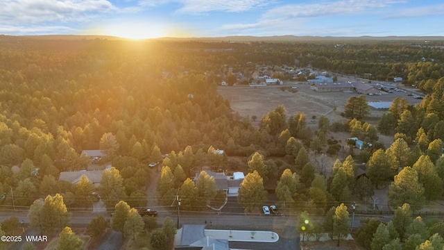 birds eye view of property featuring a forest view