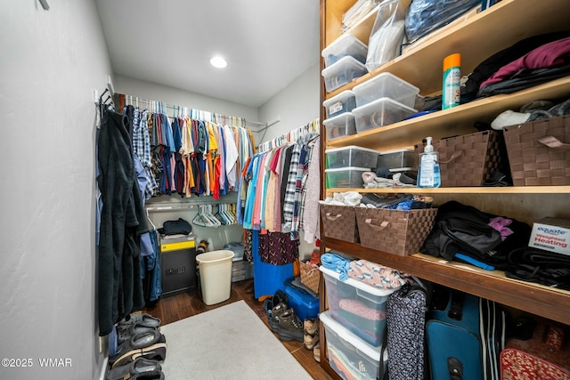 spacious closet featuring wood finished floors