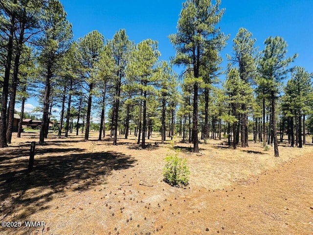 9576 Sierra Springs Dr, Pinetop, AZ 85935 - photo 2