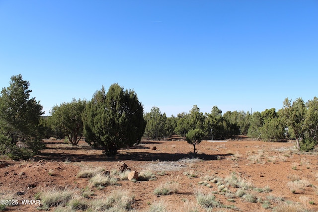 113 County Road 8092, Concho, AZ 85924 - photo 23