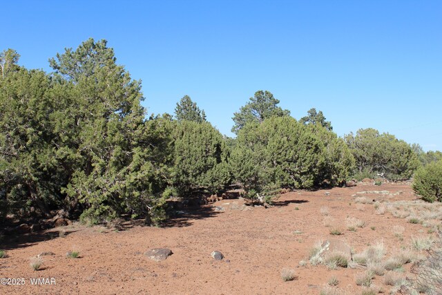 113 County Road 8092, Concho, AZ 85924 - photo 16