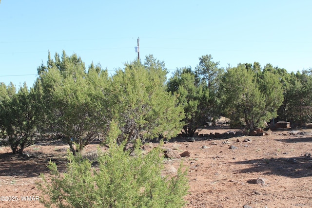 113 County Road 8092, Concho, AZ 85924 - photo 27