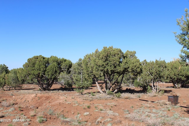 113 County Road 8092, Concho, AZ 85924 - photo 19