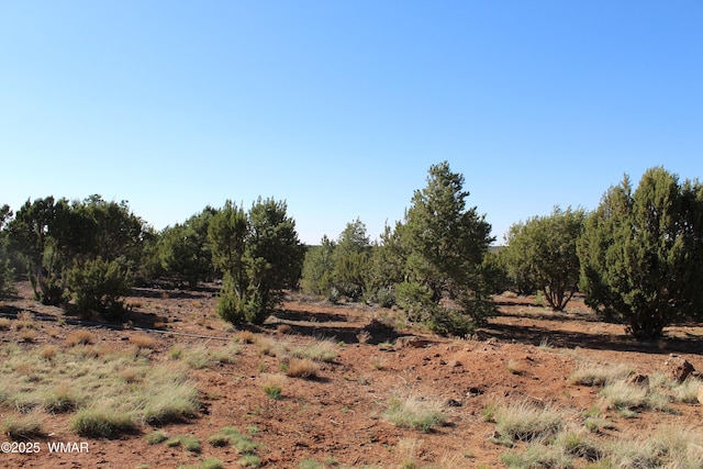 113 County Road 8092, Concho, AZ 85924 - photo 22