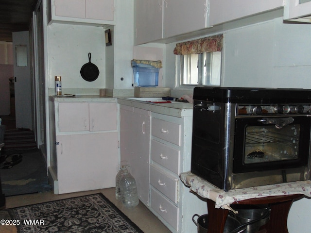 113 County Road 8092, Concho, AZ 85924 - photo 9