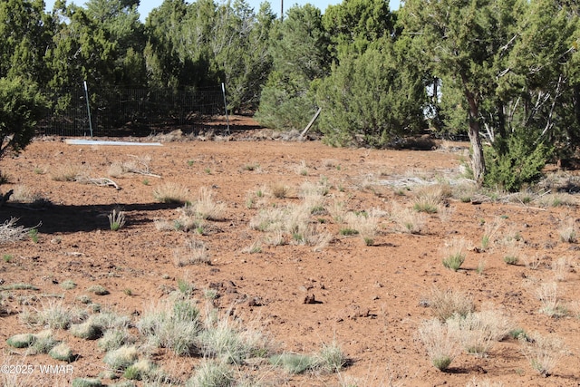 113 County Road 8092, Concho, AZ 85924 - photo 26