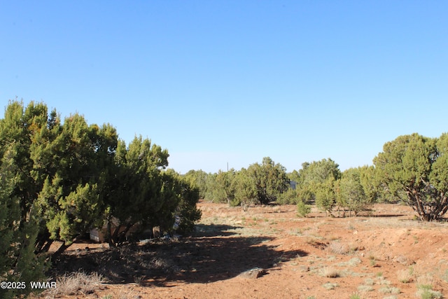 113 County Road 8092, Concho, AZ 85924 - photo 18