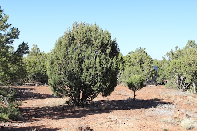 113 County Road 8092, Concho, AZ 85924 - photo 28
