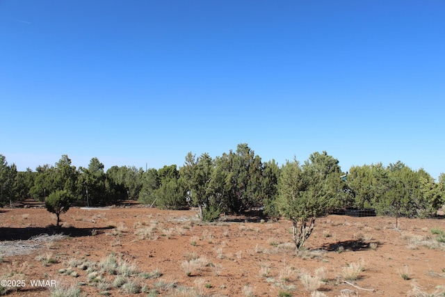 113 County Road 8092, Concho, AZ 85924 - photo 24