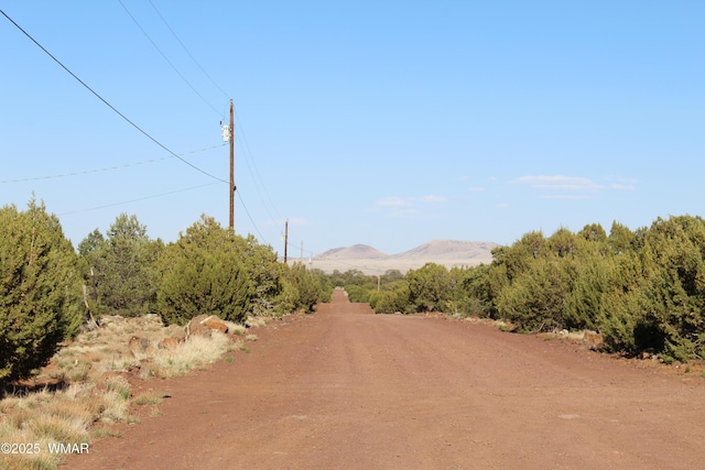 113 County Road 8092, Concho, AZ 85924 - photo 29