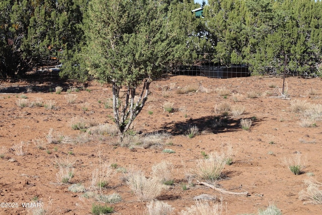 113 County Road 8092, Concho, AZ 85924 - photo 25