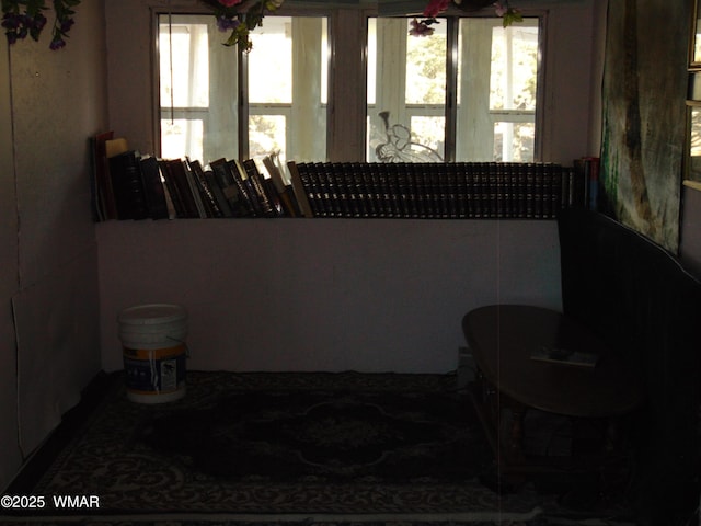 113 County Road 8092, Concho, AZ 85924 - photo 7