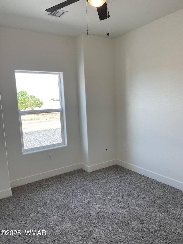 25 S Foothills Blvd, Taylor, AZ 85939 - photo 26