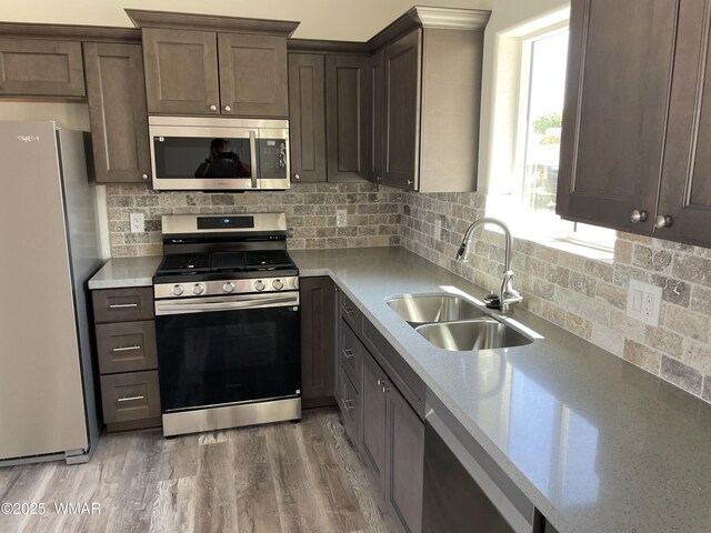 25 S Foothills Blvd, Taylor, AZ 85939 - photo 9