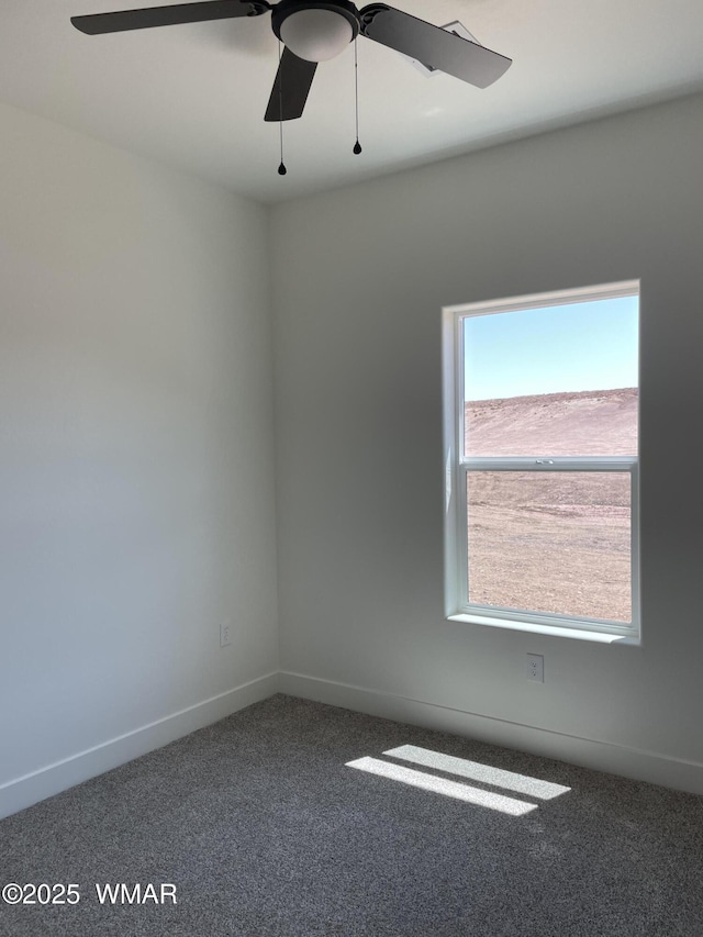25 S Foothills Blvd, Taylor, AZ 85939 - photo 34