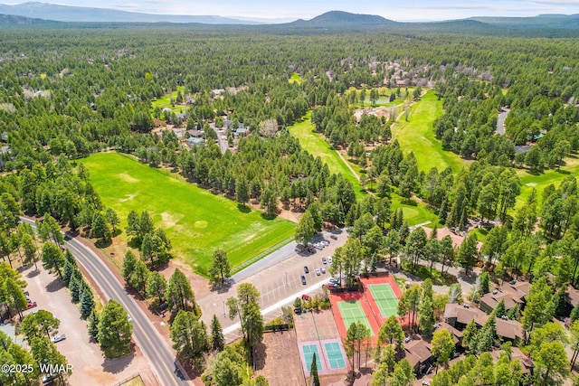 2522 Village Loop Unit 14, Pinetop, AZ 85935 - photo 34