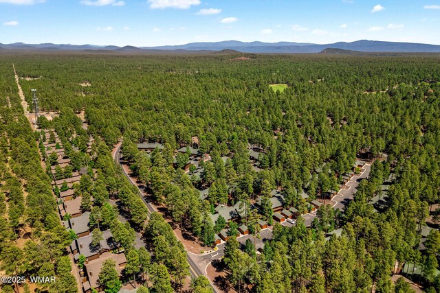 2522 Village Loop Unit 14, Pinetop, AZ 85935 - photo 30