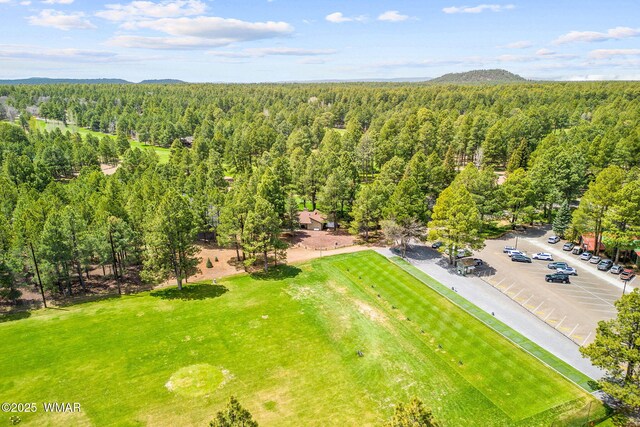 2522 Village Loop Unit 14, Pinetop, AZ 85935 - photo 33