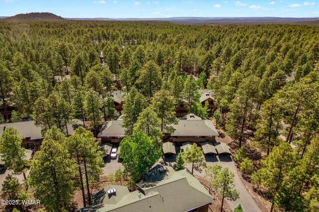 2522 Village Loop Unit 14, Pinetop, AZ 85935 - photo 32