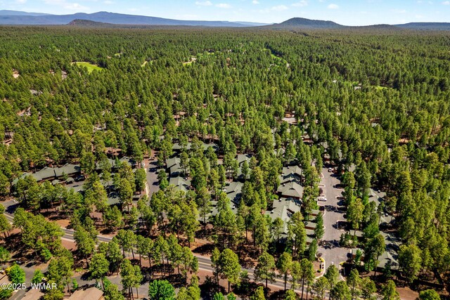 2522 Village Loop Unit 14, Pinetop, AZ 85935 - photo 29